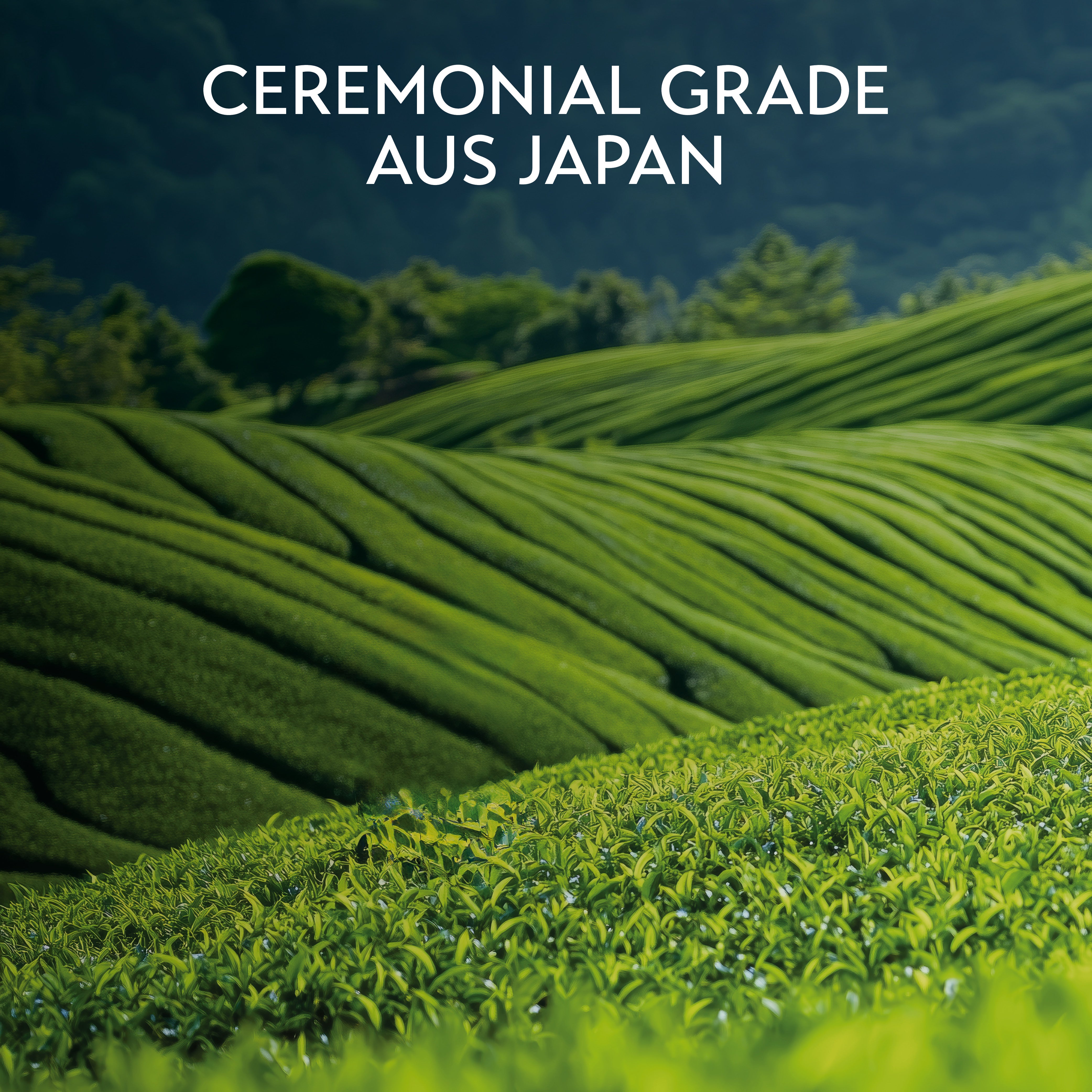 Bodywish Matcha Cinnamon Bun